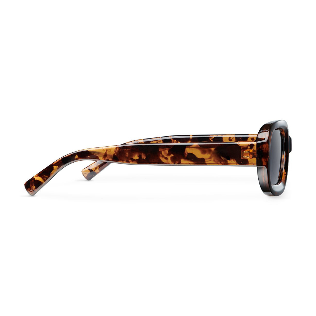 Dashi Tigris Carbon